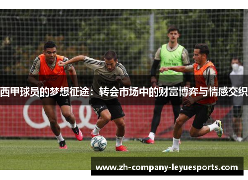 西甲球员的梦想征途:转会市场中的财富博弈与情感交织 西甲球员的梦想征途:转会市场中的财富博弈与情感交织