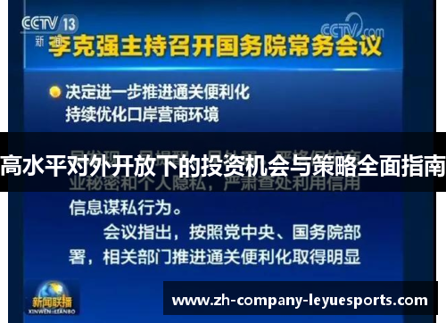 高水平对外开放下的投资机会与策略全面指南