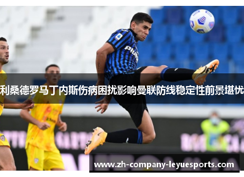 利桑德罗马丁内斯伤病困扰影响曼联防线稳定性前景堪忧