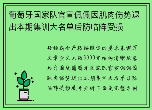 葡萄牙国家队官宣佩佩因肌肉伤势退出本期集训大名单后防临阵受损